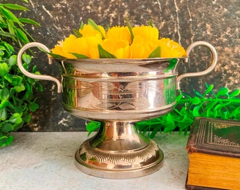 Trophée, petite tasse vintage argentée, sucrier en métal chromé avec poignées, pot de plante succulente sur pied, décoration d'intérieur argentée
