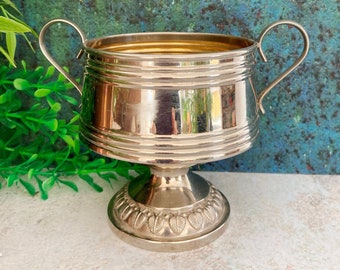 Trophy Cup, Small Silver Gold Vintage Loving Cup, Chromed Metal Sugar Bowl w Handles, Footed Plant Succulent Pot, Silver Home Decor