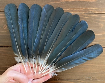 Feather Flowers | Mother Plucker