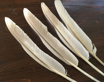 4 grandes plumes naturelles, vraie plume d'oiseau blanche parfaite, plume de galligraphie, grosse plume d'aile de cygne tuberculé, 17 po. sans cruauté, 43 cm