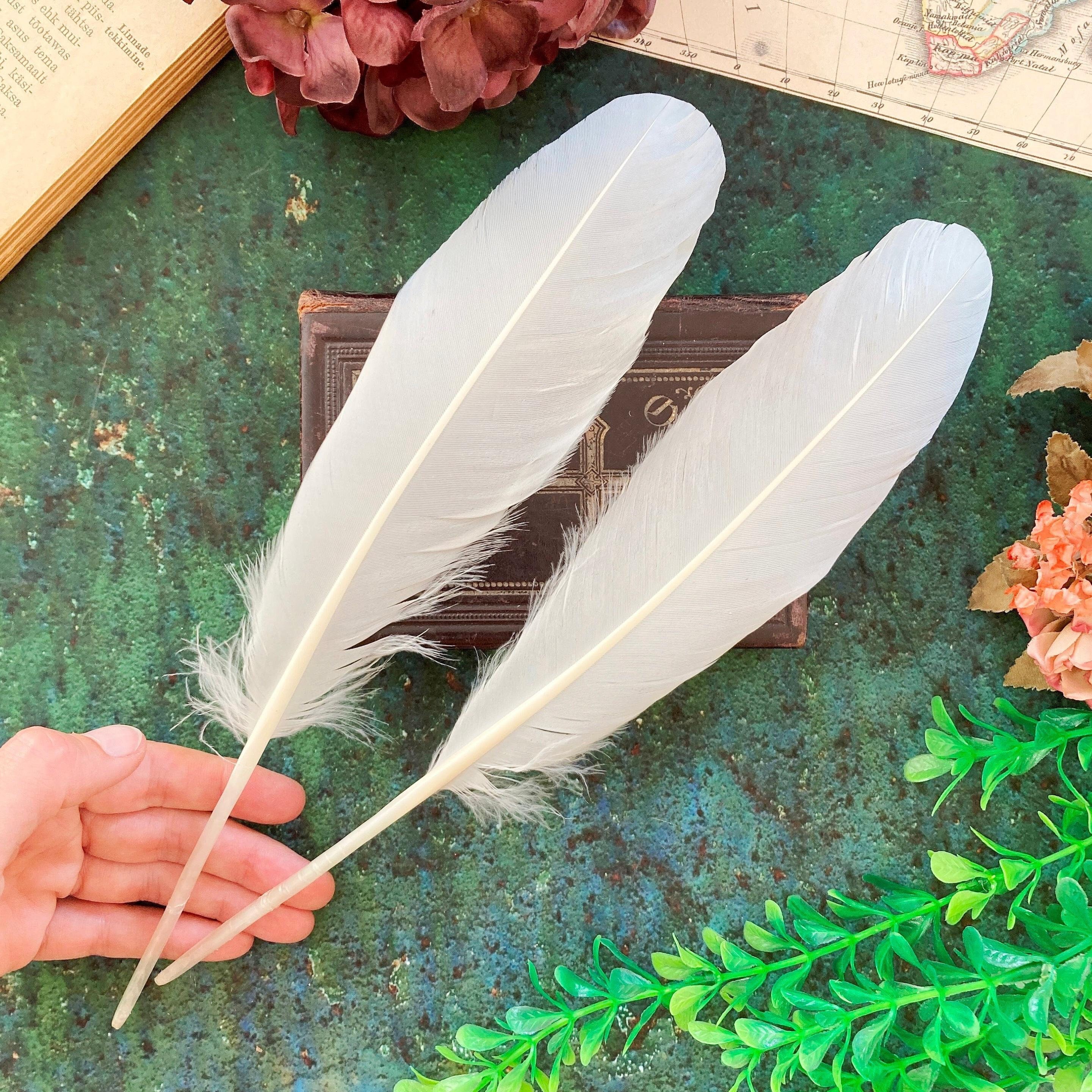 Rainbow Center Dream Catcher w/ Swan Feathers & Jute Braided Hoop | 3 Sizes Rainbow Center Dream Catcher w/ Swan Feathers & Jute Braided Hoop | 3 Sizes