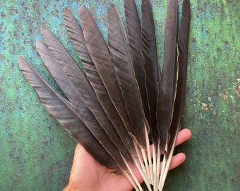 10 Black Hooded Crow Flight Feathers, Cruelty Free Wild Bird Plumage from Europe, Naturally Molted 10.5" 27cm