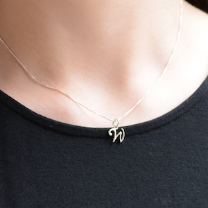 May include: A silver chain necklace with a small, cursive letter 'W' pendant.