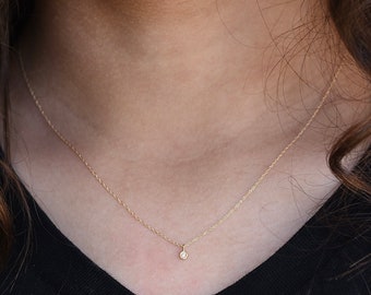 14K Gold Tiny Diamond Necklace