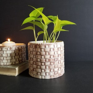 May include: A potted plant with green leaves in a white ceramic planter with a woven pattern. The planter has a brown glaze.