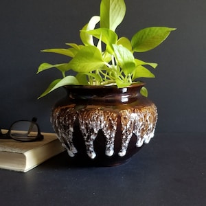 May include: A brown ceramic planter with white glaze dripping down the sides. The planter is filled with a green leafy plant.