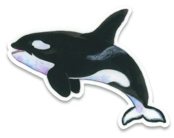 Orca Sticker