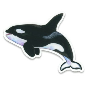 Orca Sticker