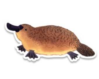 Platypus Sticker