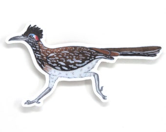 Roadrunner Sticker