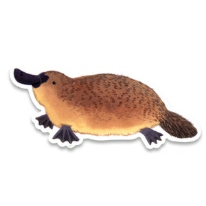 Platypus Sticker