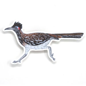 Roadrunner Sticker