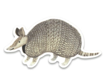 Armadillo Sticker