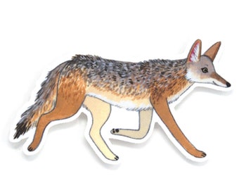 May include: A hand-painted illustration of a coyote running, with a gray and brown coat, white underbelly, and pink ears.