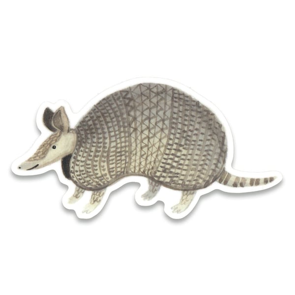 Armadillo Sticker