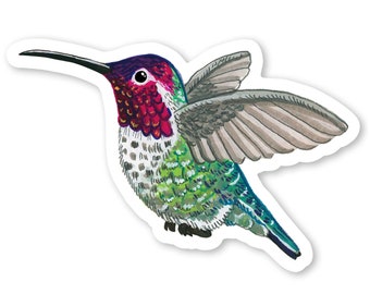 Hummingbird Sticker