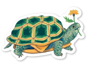 Turtle Sticker