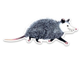 Opossum Sticker