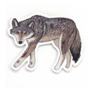 Wolf Sticker