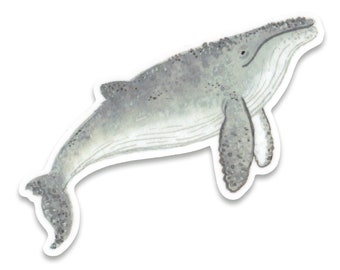 Humpback Whale Sticker