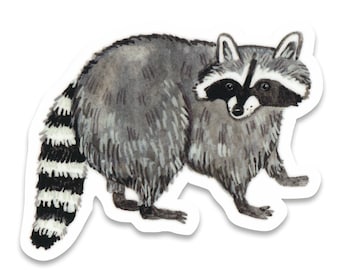 Raccoon Sticker