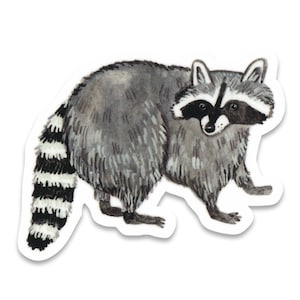 Raccoon Sticker