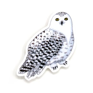 Snowy Owl Sticker