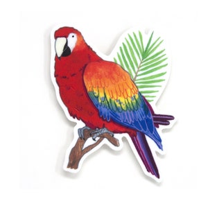 Sticker papegaai