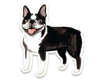 Boston Terrier Sticker