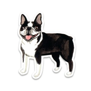 Boston Terrier Sticker