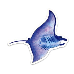 Manta Ray Sticker