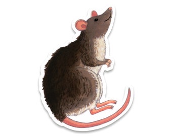 May include: A brown rat with a pink tail and nose, standing on its hind legs with its front paws raised.