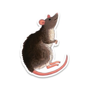 Rat Sticker