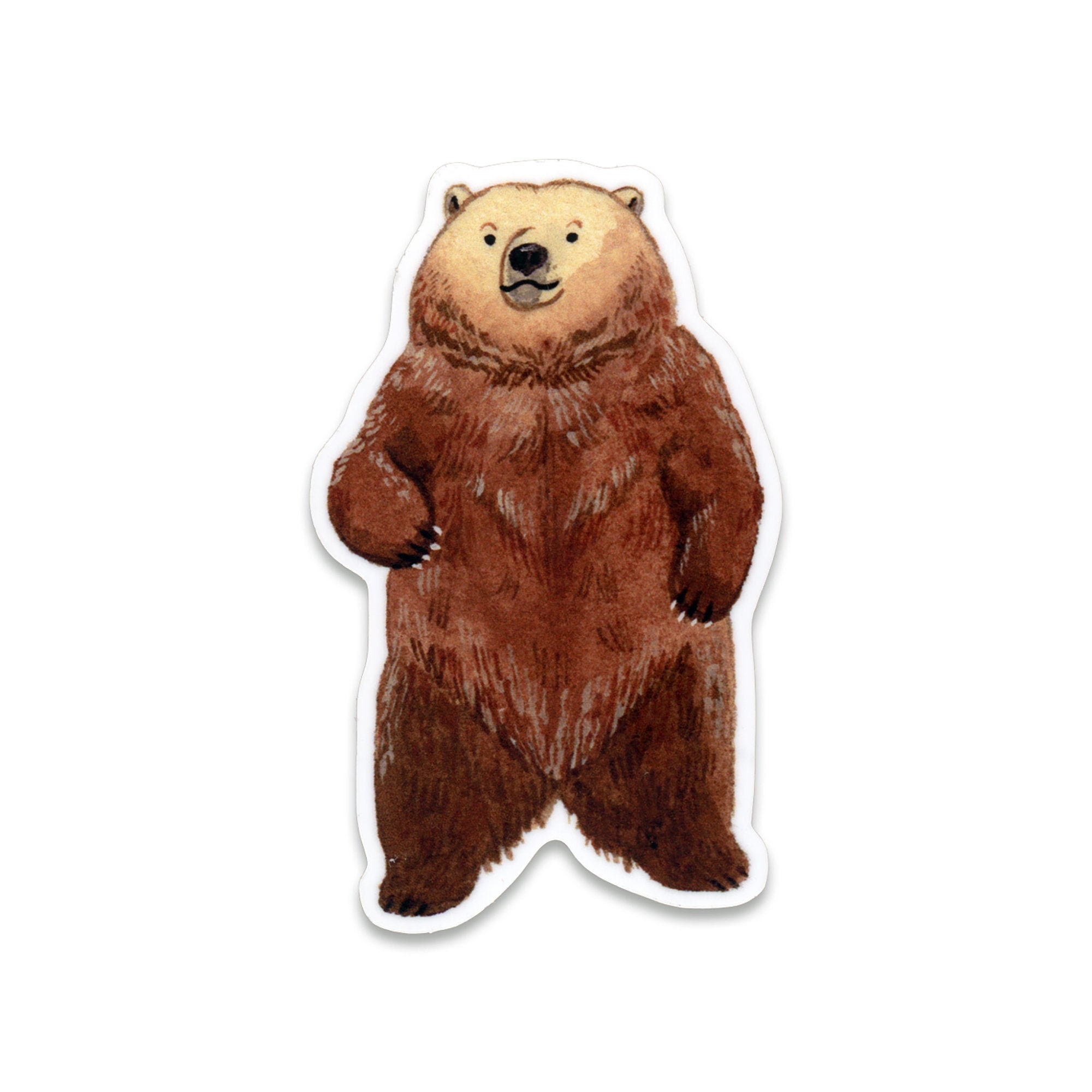 Bear Sticker Etsy