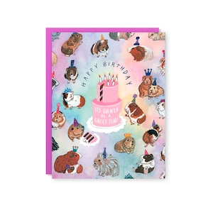 Carte d'anniversaire cochon d'Inde