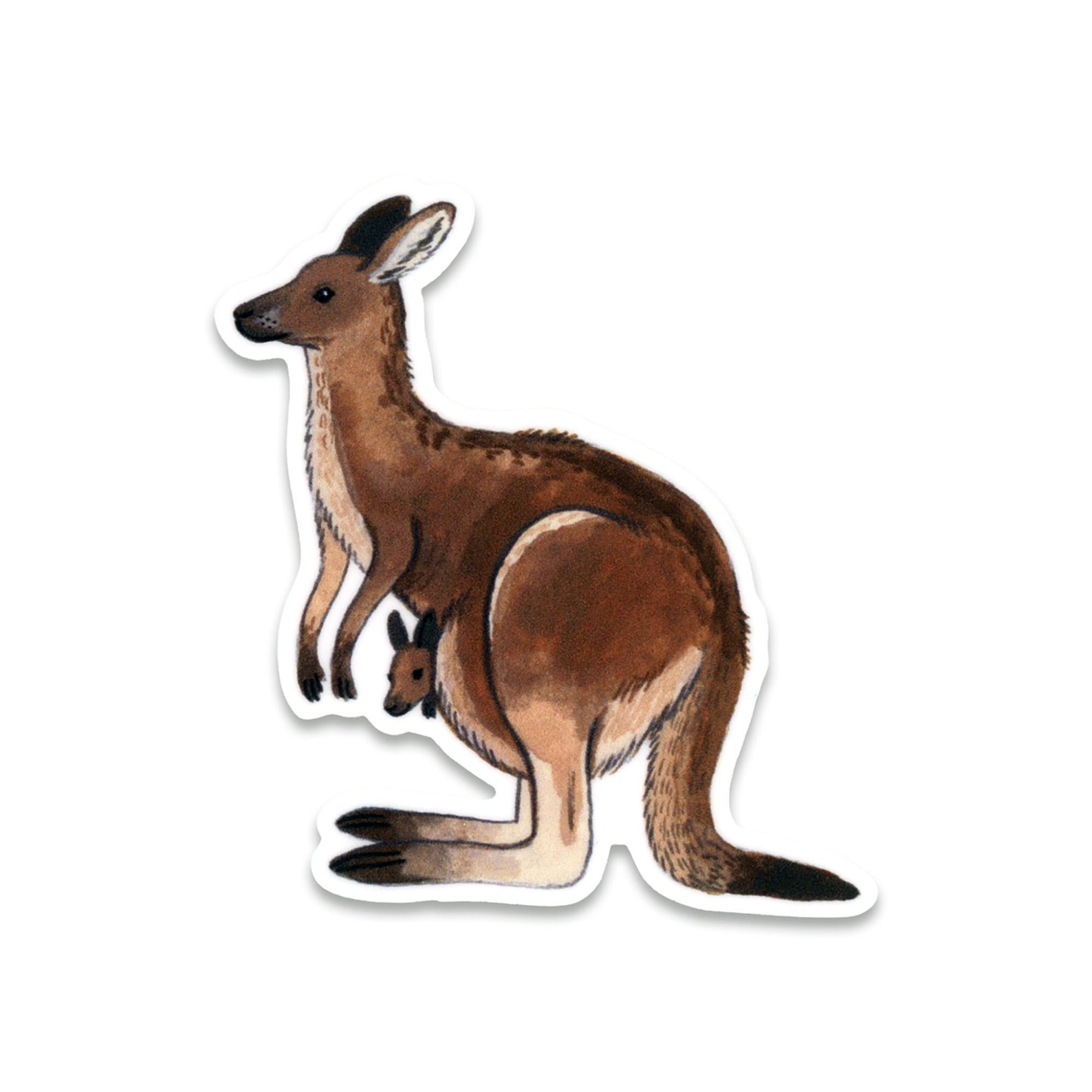 Kangaroo Vinyl Sticker Etsy