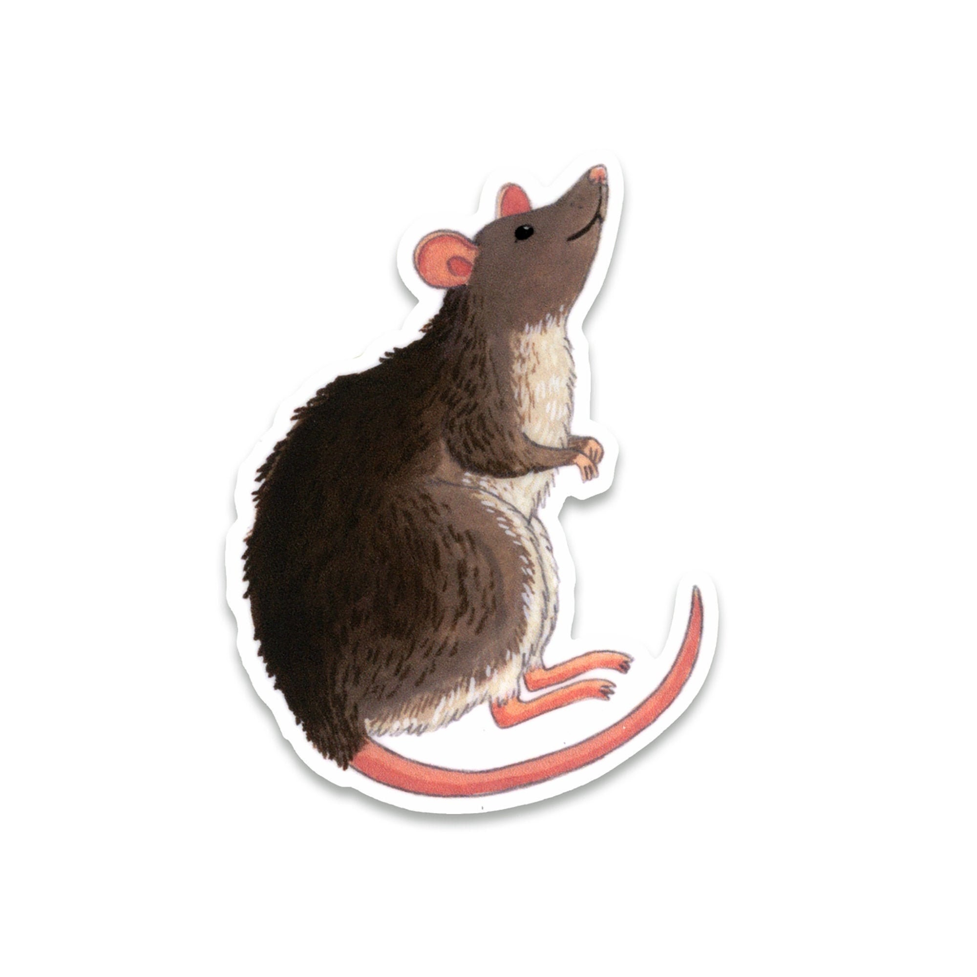 Sticker De Rata Colgada Rat Sticker - Etsy
