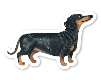 Black Dachshund Sticker