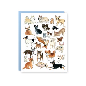 Tarjeta chihuahua