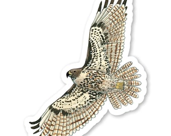 Red-tailed Hawk Sticker