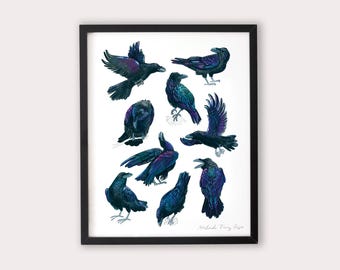Ravens Print