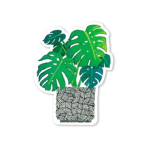Monstera Sticker