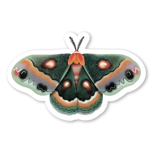 Moth Sticker