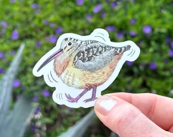Woodcock Sticker