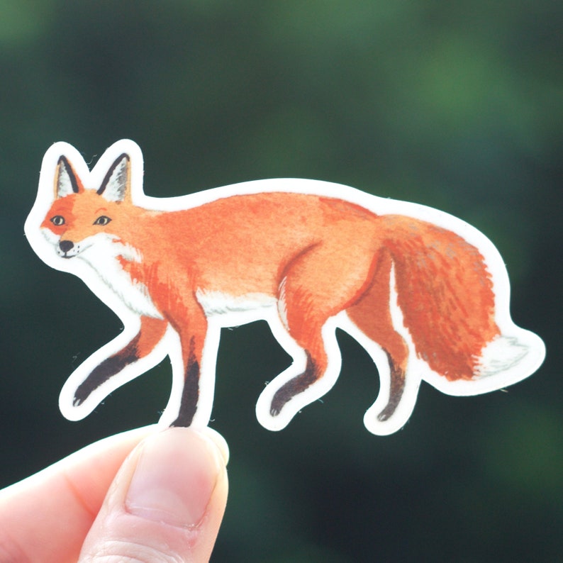 Foxing Sticker Fox Sticker - Etsy