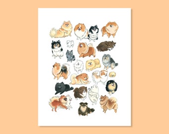 Pomeranian Print