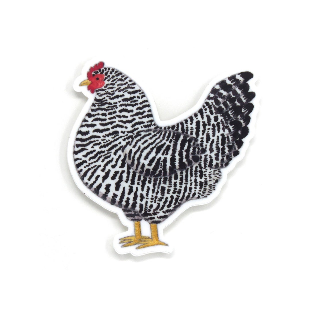 Chicken Sticker Etsy