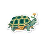 Turtle Stickers