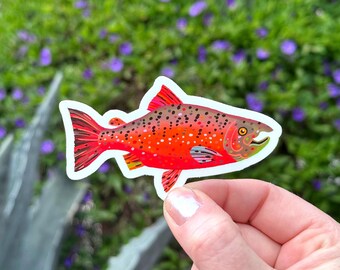 Chinook Salmon Sticker