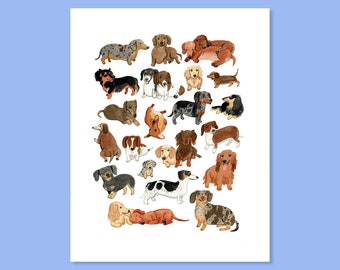 Dachshund Print